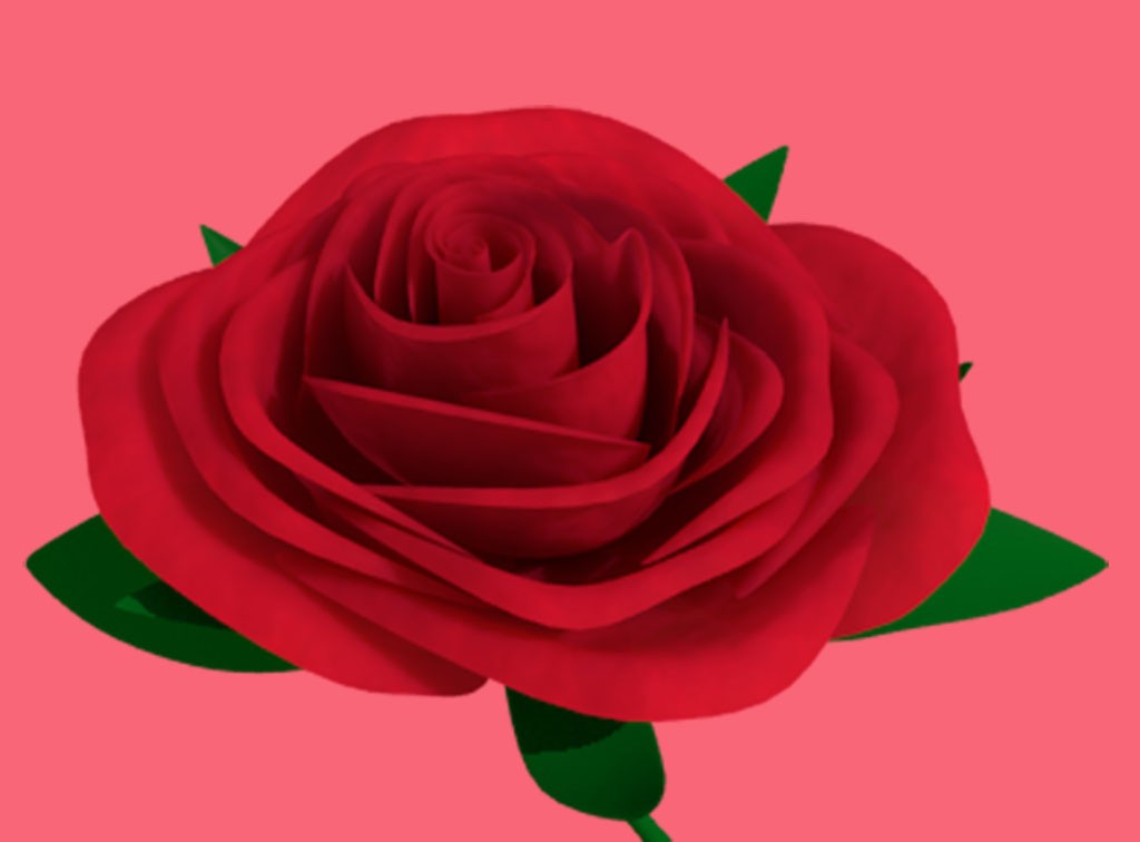 Rose Flower preview image 1